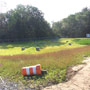 Detention Pond 2 07/01/08